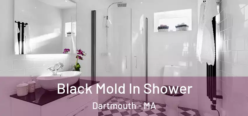  Black Mold In Shower Dartmouth - MA