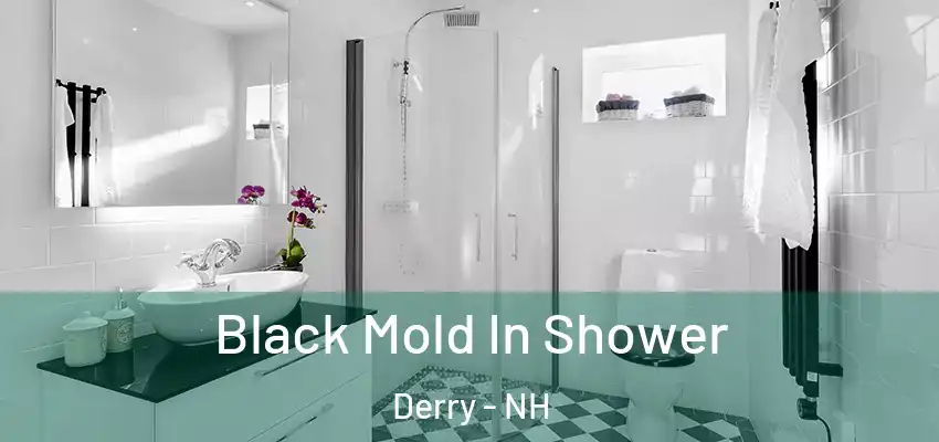 Black Mold In Shower Derry - NH