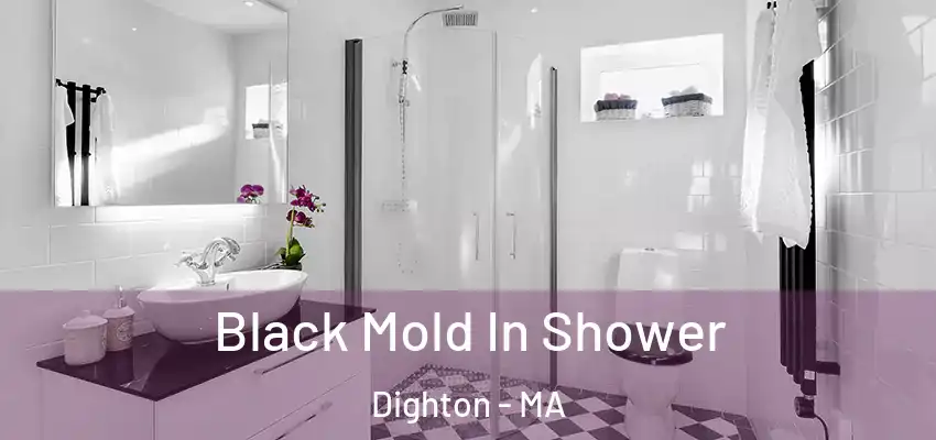 Black Mold In Shower Dighton - MA
