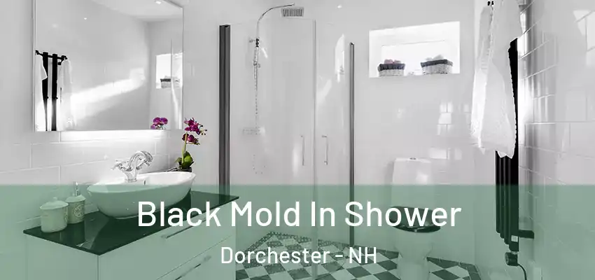 Black Mold In Shower Dorchester - NH