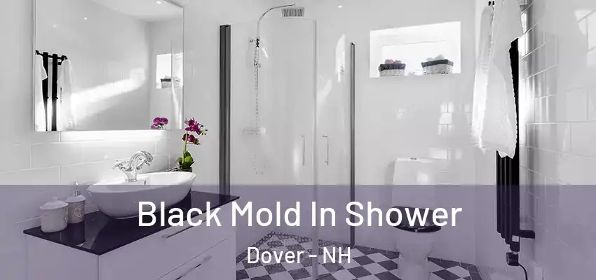 Black Mold In Shower Dover - NH