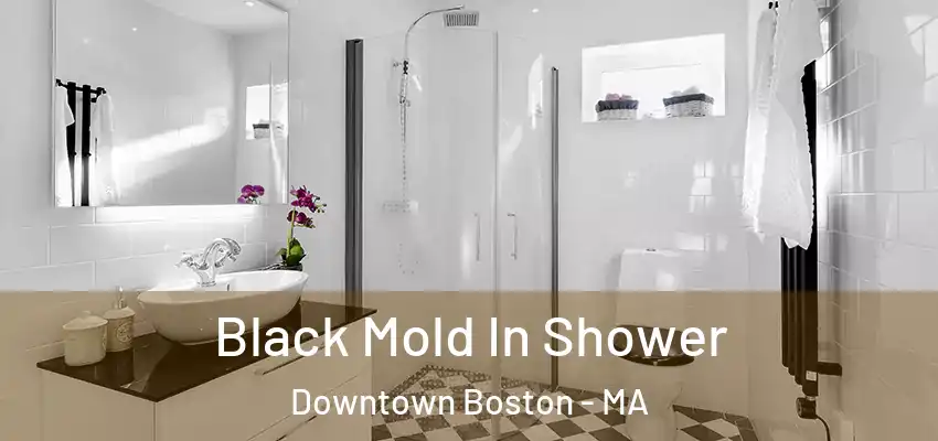  Black Mold In Shower Downtown Boston - MA