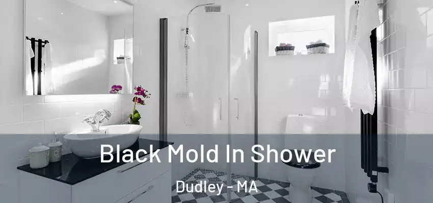  Black Mold In Shower Dudley - MA