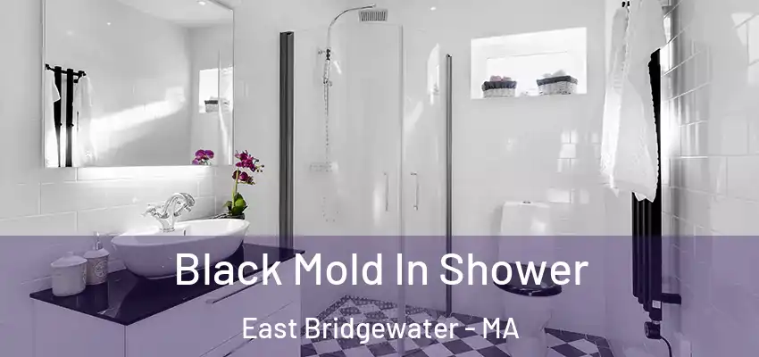 Black Mold In Shower East Bridgewater - MA