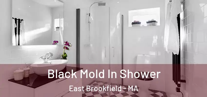  Black Mold In Shower East Brookfield - MA