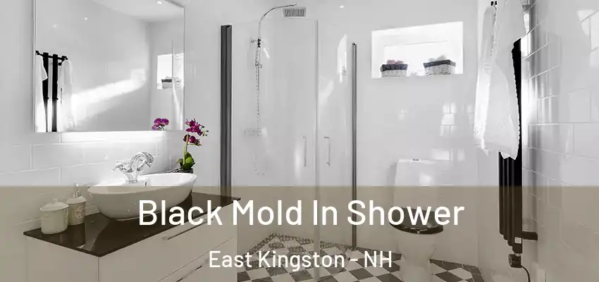 Black Mold In Shower East Kingston - NH
