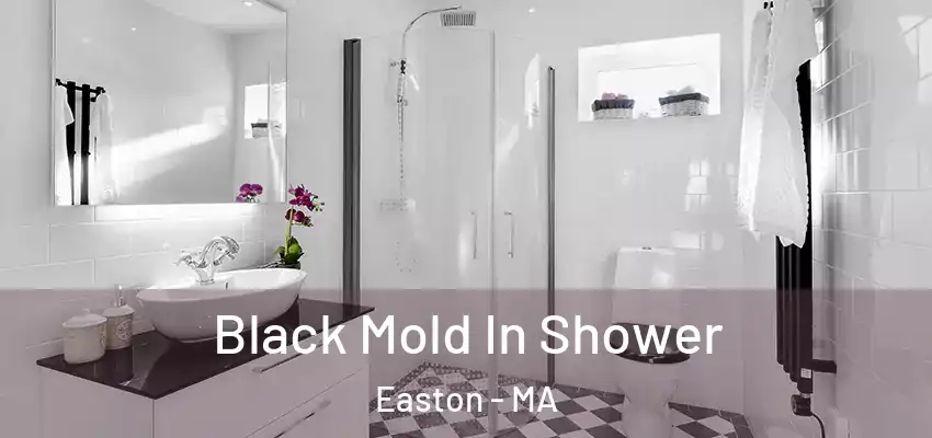  Black Mold In Shower Easton - MA