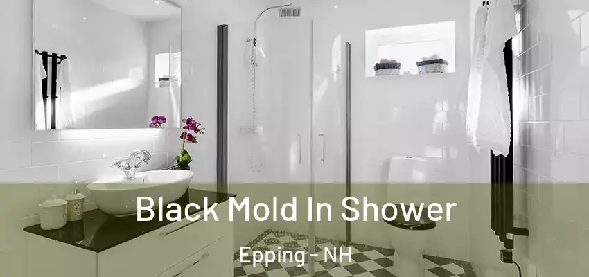 Black Mold In Shower Epping - NH