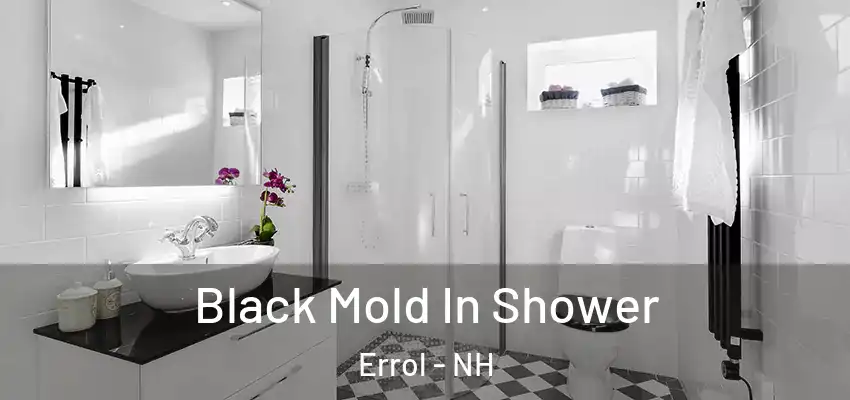 Black Mold In Shower Errol - NH