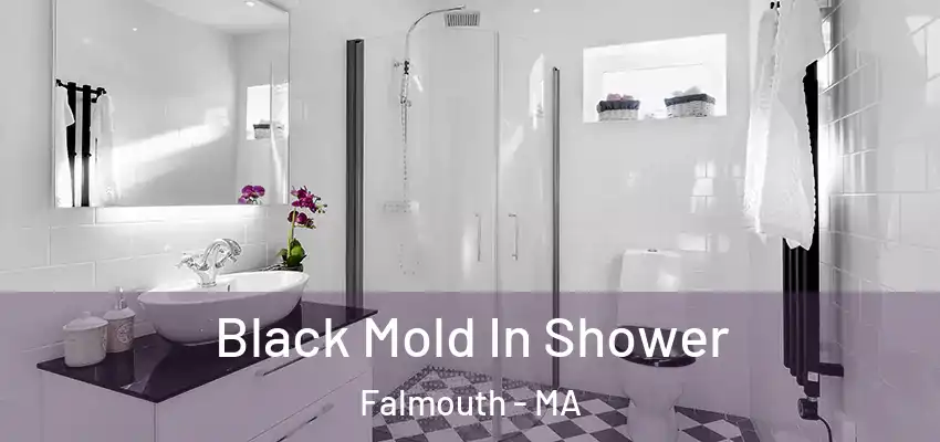Black Mold In Shower Falmouth - MA