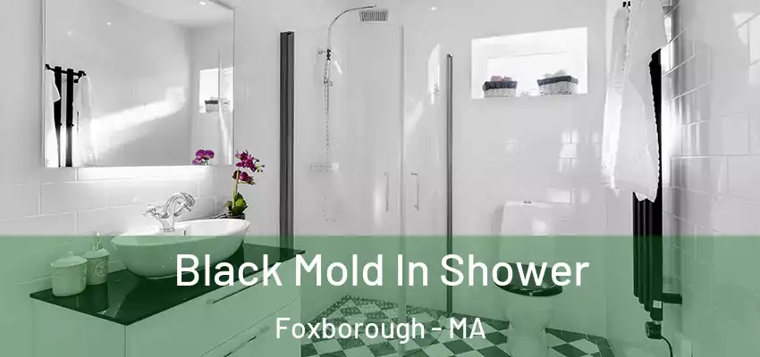  Black Mold In Shower Foxborough - MA