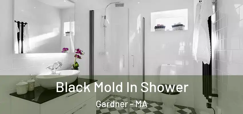  Black Mold In Shower Gardner - MA