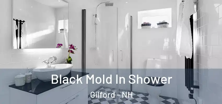  Black Mold In Shower Gilford - NH