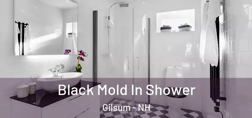 Black Mold In Shower Gilsum - NH