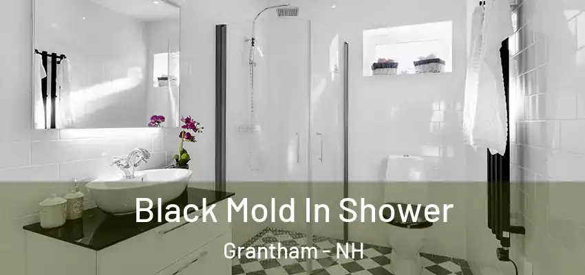 Black Mold In Shower Grantham - NH