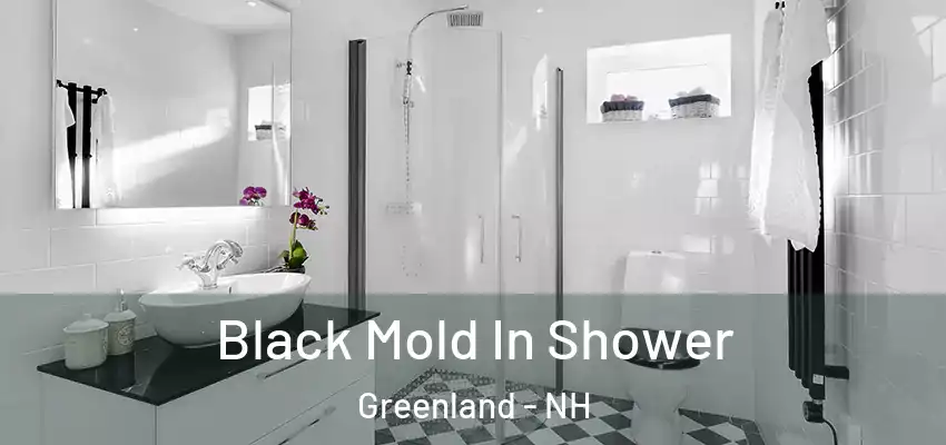 Black Mold In Shower Greenland - NH