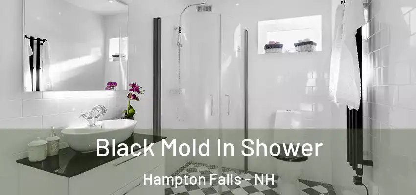 Black Mold In Shower Hampton Falls - NH