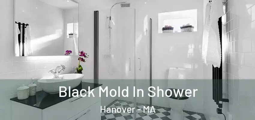 Black Mold In Shower Hanover - MA