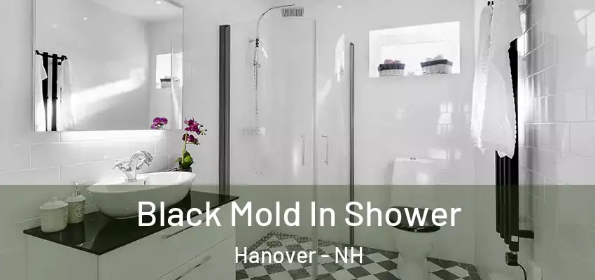  Black Mold In Shower Hanover - NH