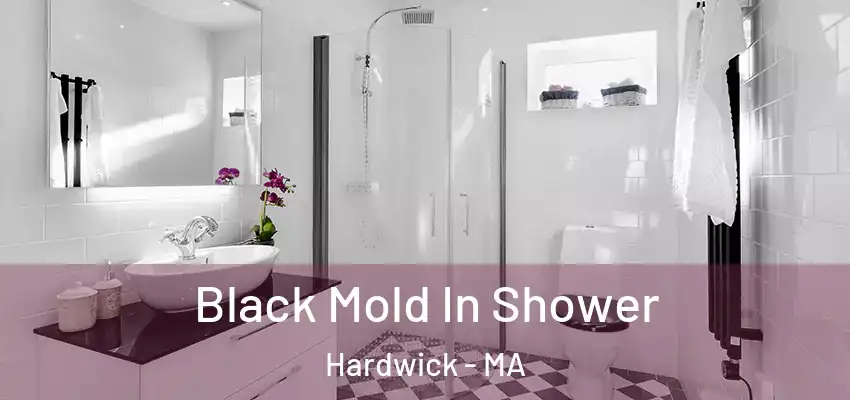 Black Mold In Shower Hardwick - MA