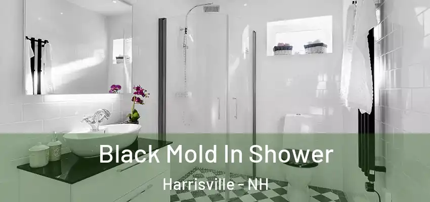  Black Mold In Shower Harrisville - NH