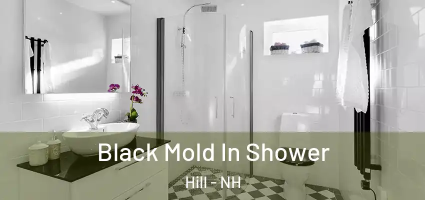Black Mold In Shower Hill - NH