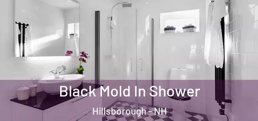  Black Mold In Shower Hillsborough - NH
