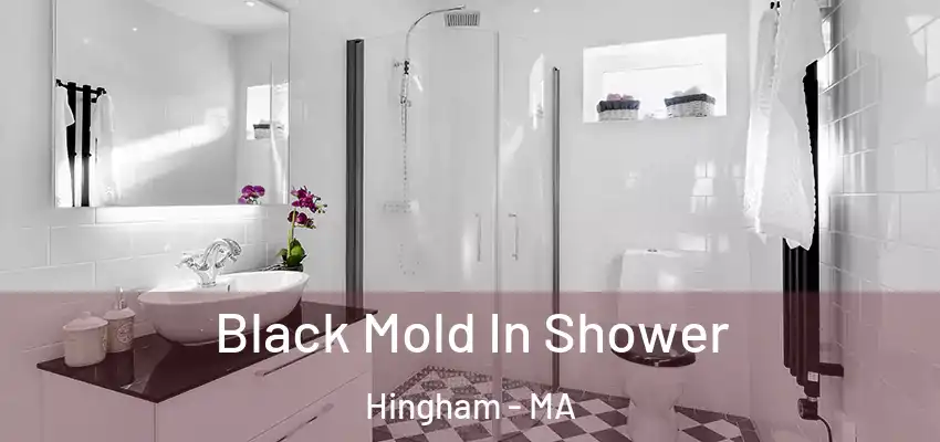 Black Mold In Shower Hingham - MA