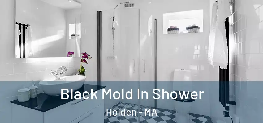 Black Mold In Shower Holden - MA