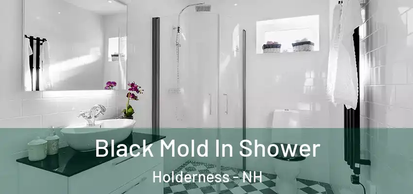  Black Mold In Shower Holderness - NH