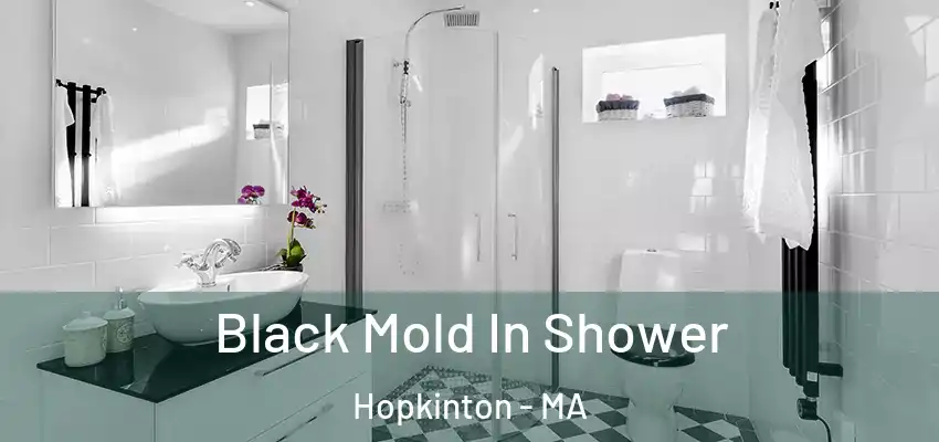 Black Mold In Shower Hopkinton - MA