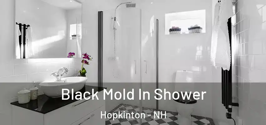 Black Mold In Shower Hopkinton - NH