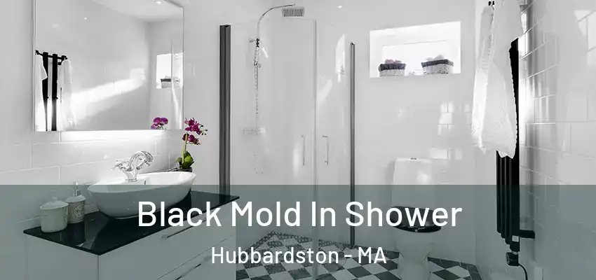 Black Mold In Shower Hubbardston - MA