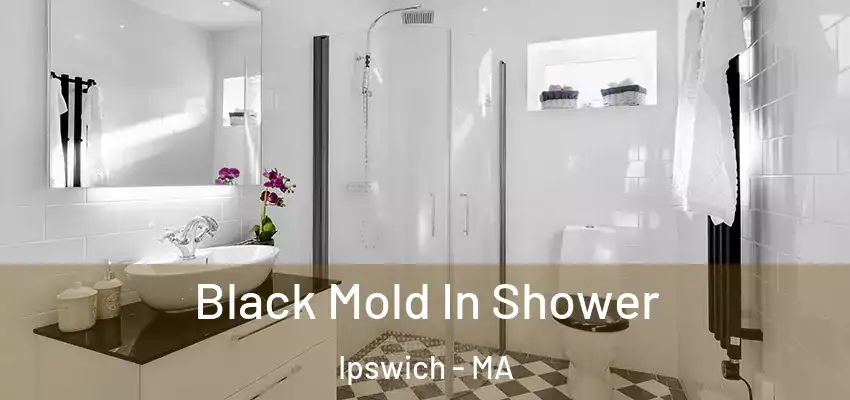  Black Mold In Shower Ipswich - MA