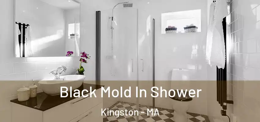  Black Mold In Shower Kingston - MA