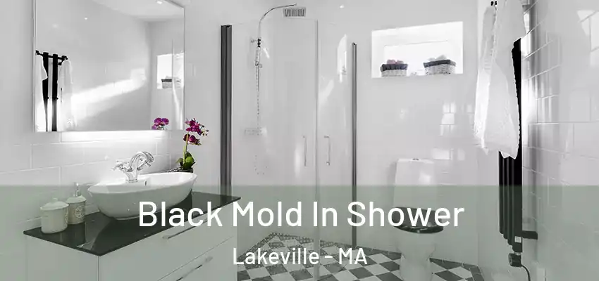 Black Mold In Shower Lakeville - MA