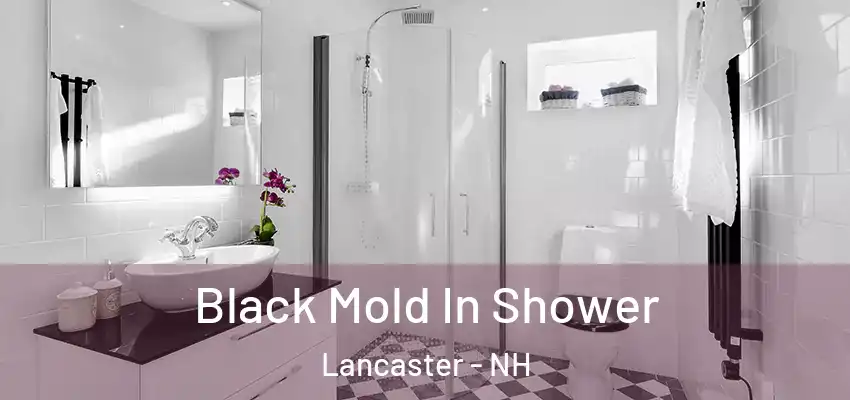  Black Mold In Shower Lancaster - NH