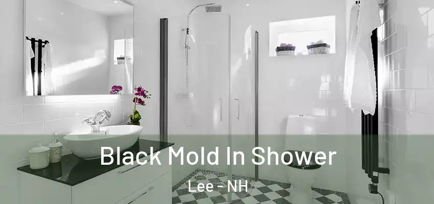  Black Mold In Shower Lee - NH