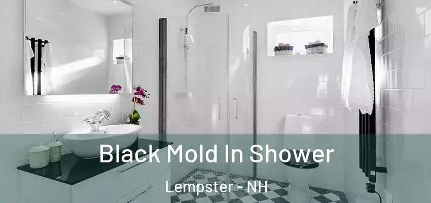  Black Mold In Shower Lempster - NH
