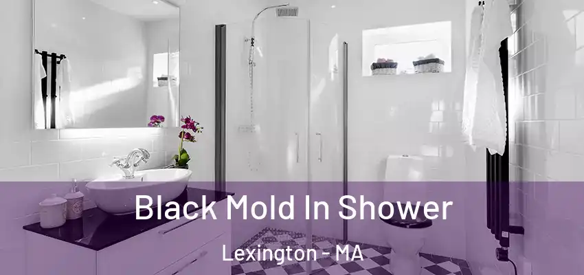 Black Mold In Shower Lexington - MA