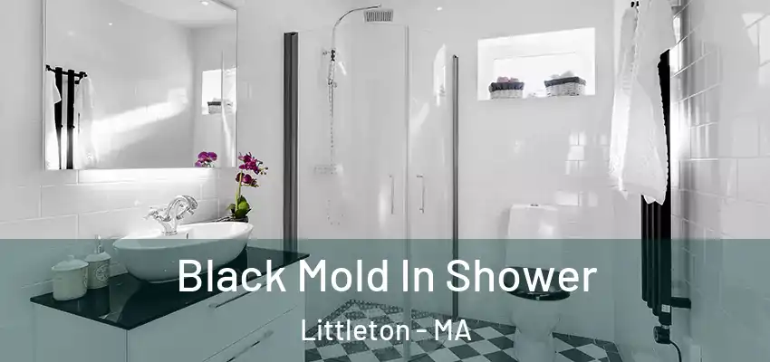 Black Mold In Shower Littleton - MA