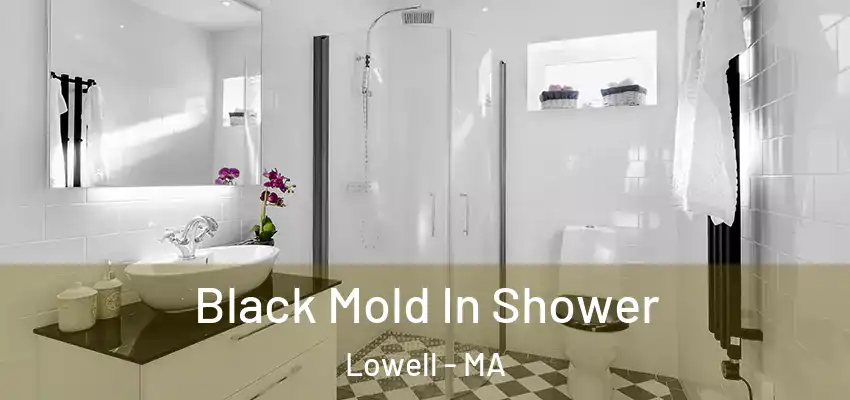 Black Mold In Shower Lowell - MA