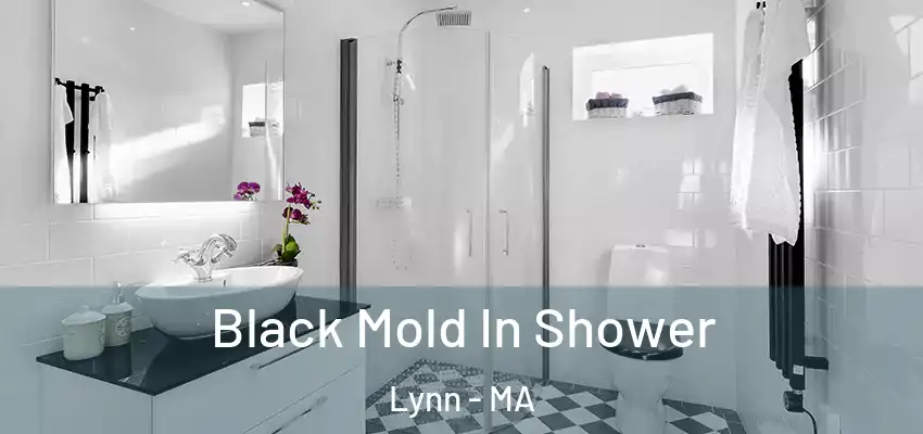Black Mold In Shower Lynn - MA