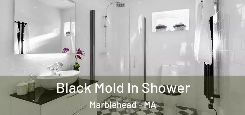 Black Mold In Shower Marblehead - MA