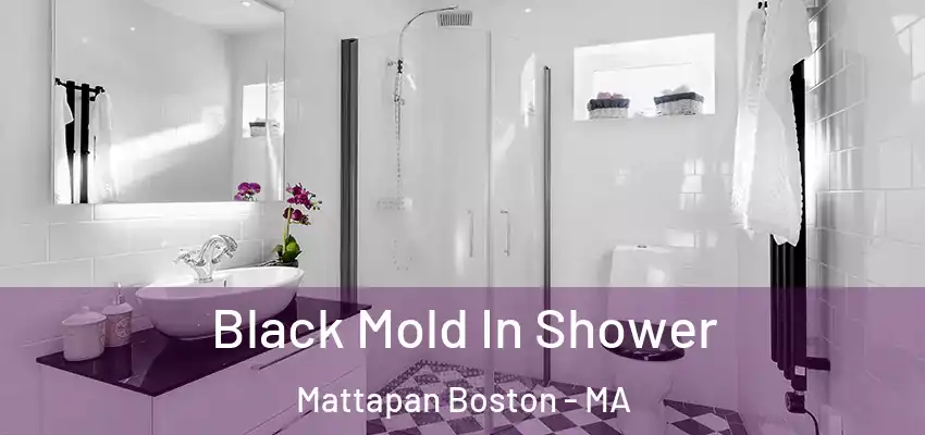 Black Mold In Shower Mattapan Boston - MA