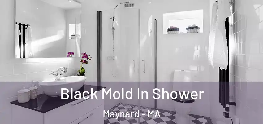 Black Mold In Shower Maynard - MA