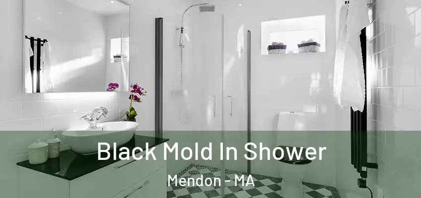 Black Mold In Shower Mendon - MA