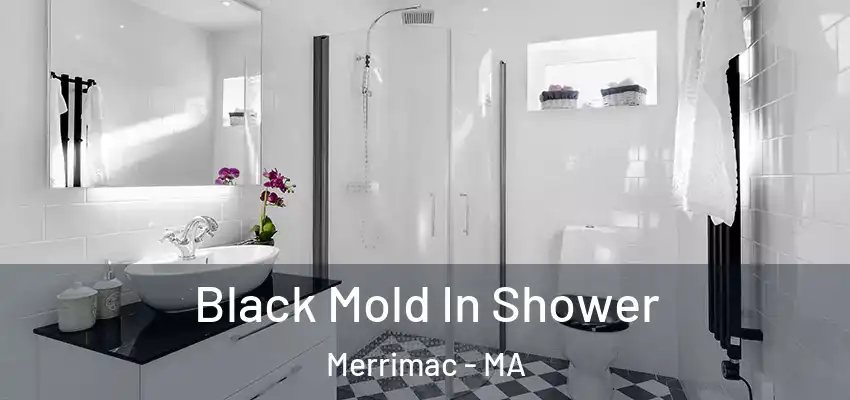  Black Mold In Shower Merrimac - MA