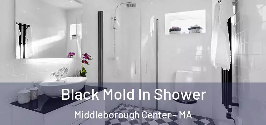  Black Mold In Shower Middleborough Center - MA