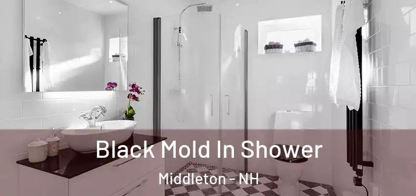 Black Mold In Shower Middleton - NH